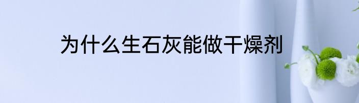 为什么生石灰能做干燥剂