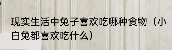 现实生活中兔子喜欢吃哪种食物（小白兔都喜欢吃什么）