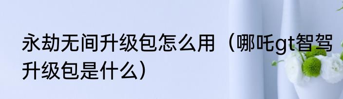 永劫无间升级包怎么用（哪吒gt智驾升级包是什么）