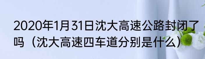 2020年1月31日沈大高速公路封闭了吗（沈大高速四车道分别是什么）
