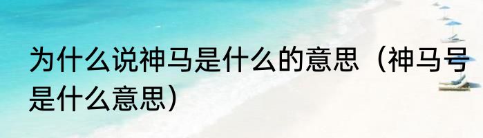 为什么说神马是什么的意思（神马号是什么意思）