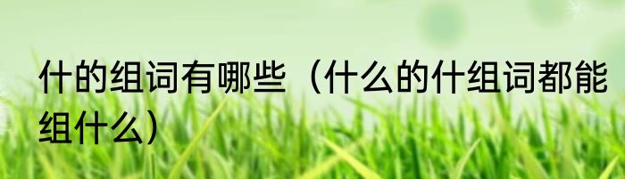什的组词有哪些（什么的什组词都能组什么）