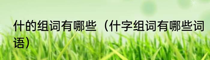 什的组词有哪些（什字组词有哪些词语）