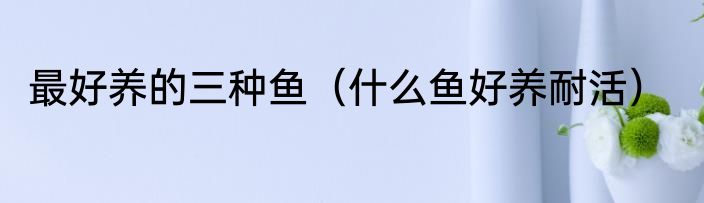 最好养的三种鱼（什么鱼好养耐活）