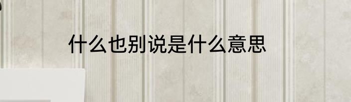 什么也别说是什么意思