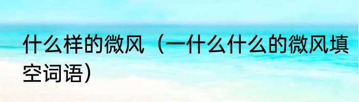 什么样的微风（一什么什么的微风填空词语）