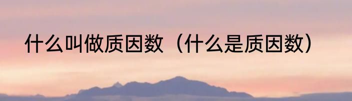 什么叫做质因数（什么是质因数）