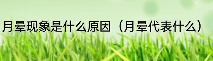月晕现象是什么原因（月晕代表什么）