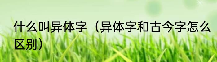 什么叫异体字（异体字和古今字怎么区别）