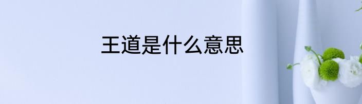 王道是什么意思