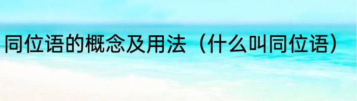 同位语的概念及用法（什么叫同位语）
