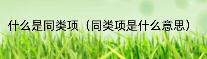 什么是同类项（同类项是什么意思）