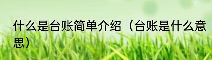 什么是台账简单介绍（台账是什么意思）