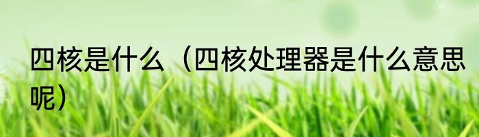 四核是什么（四核处理器是什么意思呢）