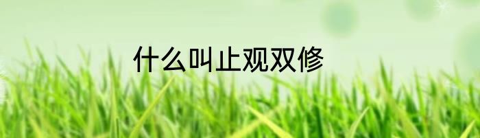 什么叫止观双修