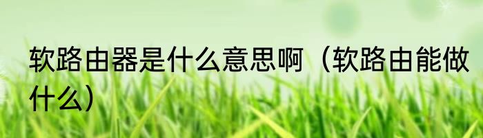 软路由器是什么意思啊（软路由能做什么）