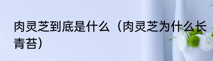 肉灵芝到底是什么（肉灵芝为什么长青苔）