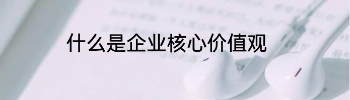 什么是企业核心价值观