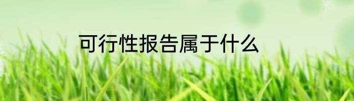 可行性报告属于什么