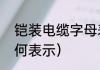 铠装电缆字母表示（铠装铜芯电缆如何表示）