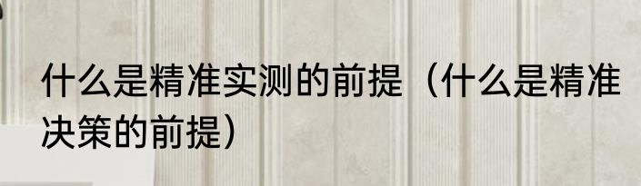 什么是精准实测的前提（什么是精准决策的前提）