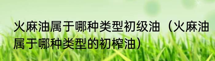 火麻油属于哪种类型初级油（火麻油属于哪种类型的初榨油）