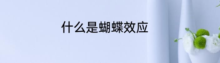 什么是蝴蝶效应