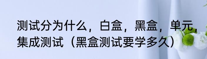 测试分为什么，白盒，黑盒，单元，集成测试（黑盒测试要学多久）
