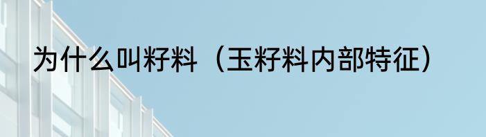 为什么叫籽料（玉籽料内部特征）