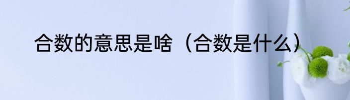 合数的意思是啥（合数是什么）