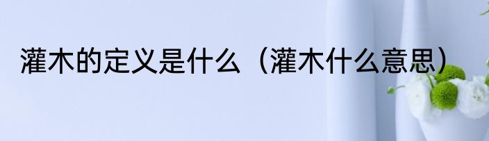 灌木的定义是什么（灌木什么意思）
