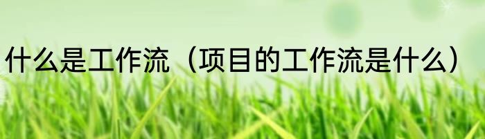 什么是工作流（项目的工作流是什么）