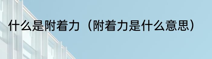 什么是附着力（附着力是什么意思）