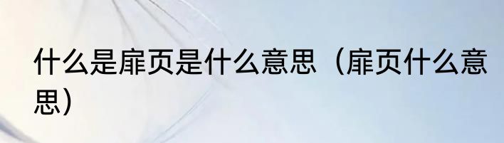 什么是扉页是什么意思（扉页什么意思）