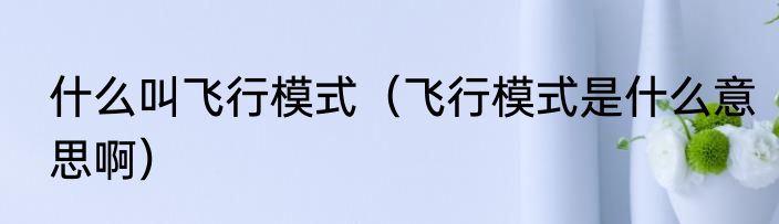 什么叫飞行模式（飞行模式是什么意思啊）