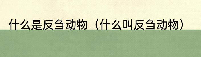 什么是反刍动物（什么叫反刍动物）