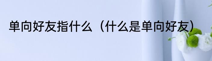 单向好友指什么（什么是单向好友）