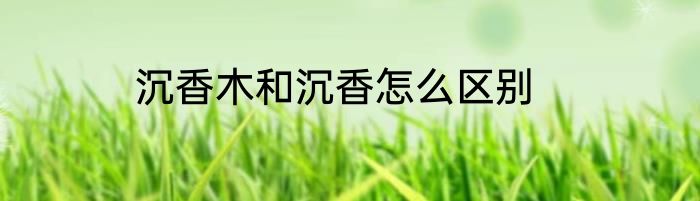 沉香木和沉香怎么区别