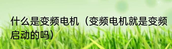 什么是变频电机（变频电机就是变频启动的吗）