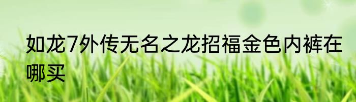 如龙7外传无名之龙招福金色内裤在哪买