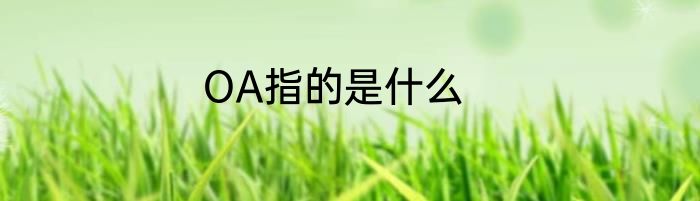OA指的是什么
