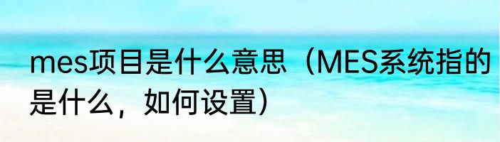 mes项目是什么意思（MES系统指的是什么，如何设置）
