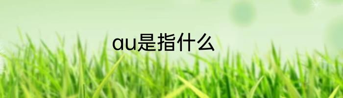 au是指什么