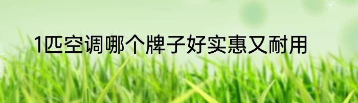 1匹空调哪个牌子好实惠又耐用