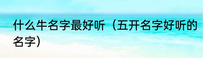 什么牛名字最好听（五开名字好听的名字）
