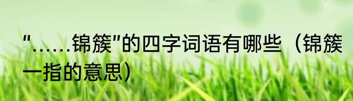 “……锦簇”的四字词语有哪些（锦簇一指的意思）