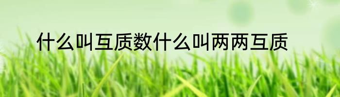 什么叫互质数什么叫两两互质