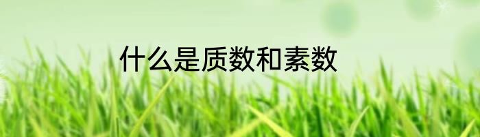 什么是质数和素数