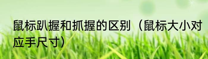 鼠标趴握和抓握的区别（鼠标大小对应手尺寸）