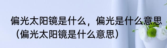 偏光太阳镜是什么，偏光是什么意思（偏光太阳镜是什么意思）